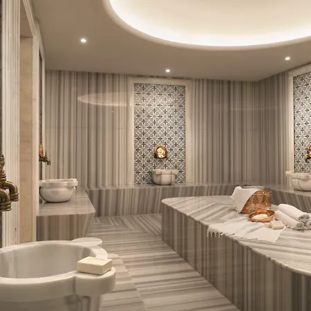 Millennium Golden Horn 5*