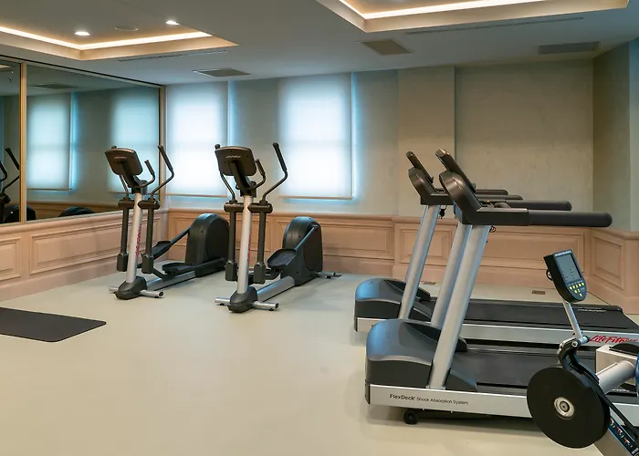 فندق ميلينيوم إسطنبول غولدن هورن اسطنبول