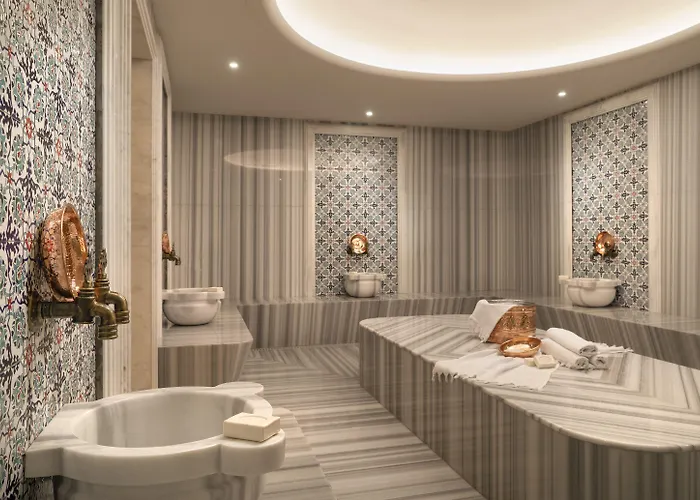 ميلينيوم إسطنبول غولدن هورن 5*