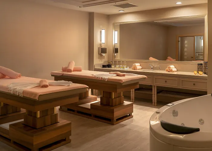 ميلينيوم إسطنبول غولدن هورن فندق